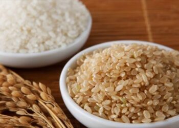 أسعار الأرز الشعير اليوم السبت 17-5-2025 آخر المستجدات في الأسواق