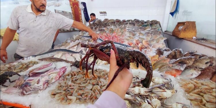 أسعار الأسماك والجمبري اليوم 13 مايو 2025 البلطي والبوري والجمبري بكام؟ 1 أسعار الأسماك والجمبري اليوم 13 مايو 2025 البلطي والبوري والجمبري بكام؟