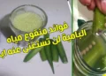 ماء البامية وفوائده المذهلة للجهاز الهضمي والمناعة