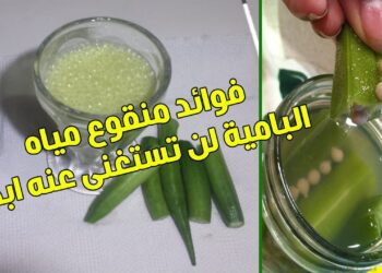 ماء البامية وفوائده المذهلة للجهاز الهضمي والمناعة