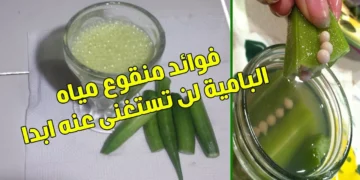 ماء البامية وفوائده المذهلة للجهاز الهضمي والمناعة