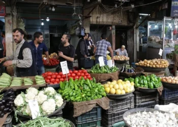 أسعار الخضروات والفاكهة اليوم الأحد البطاطس بـ8 جنيهات واستقرار نسبي في الأسواق