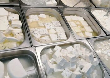 أسعار الألبان ومشتقاتها في محافظة الغربية اليوم الإثنين 5 مايو 2025