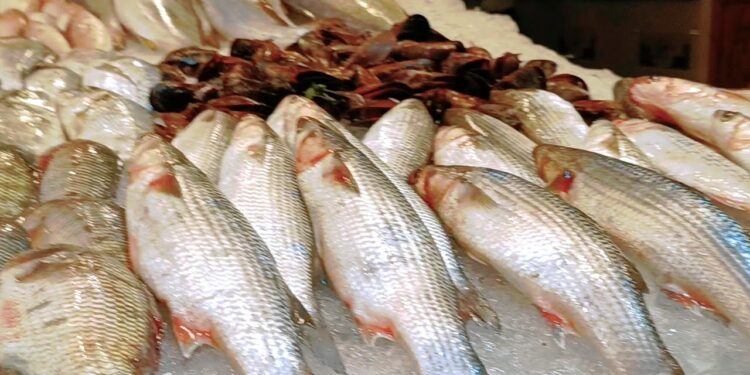 أسعار الأسماك بسوق العبور اليوم 8 مايو 2025 البلطي والجمبري ضمن القائمة