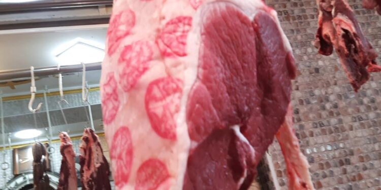 أسعار اللحوم البلدية والمستوردة في الغربية اليوم السبت 17 مايو 2025 1 أسعار اللحوم البلدية والمستوردة في الغربية اليوم السبت 17 مايو 2025