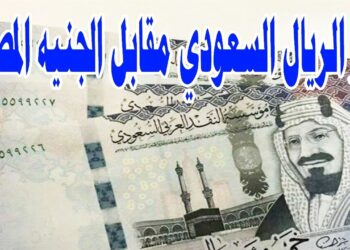 سعر صرف الريال السعودي أمام الجنيه المصري اليوم 17 مايو 2025