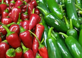 الأسعار اليوم الفلفل الألوان بـ30 جنيهًا واستقرار في باقي الخضروات والفاكهة