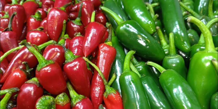 الأسعار اليوم الفلفل الألوان بـ30 جنيهًا واستقرار في باقي الخضروات والفاكهة