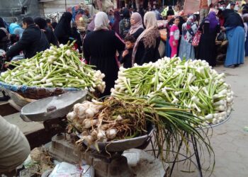 أسعار الثوم والليمون تشتعل تعرف على تعليقات شعبة الخضروات والفاكهة