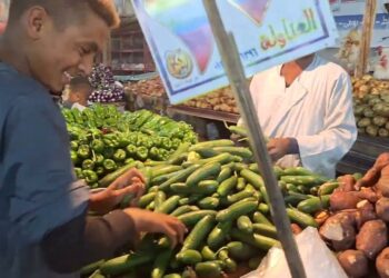 أسعار الخضار في مصر اليوم السبت.. الطماطم والخيار يقودان المشهد