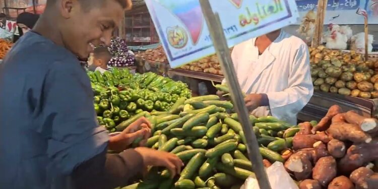 أسعار الخضار في مصر اليوم السبت.. الطماطم والخيار يقودان المشهد 1 أسعار الخضار في مصر اليوم السبت.. الطماطم والخيار يقودان المشهد