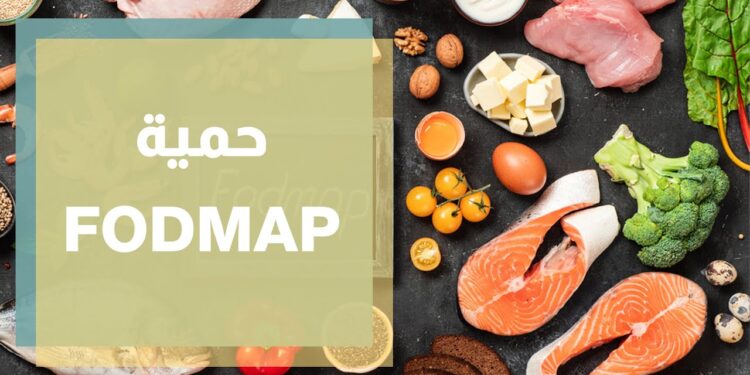 التغذية الحديثة والأمراض العصبية فهم العلاقة المعقدة 1 التغذية الحديثة والأمراض العصبية فهم العلاقة المعقدة