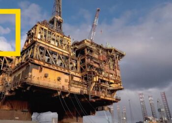 النفط يتراجع عالميًا بسبب قفزة مفاجئة في المخزونات الأمريكية