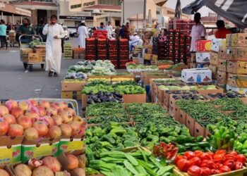 أسعار الخضار والفاكهة اليوم 20 مايو.. الجوافة ضمن الأغلى