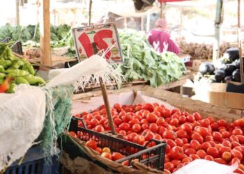 أسعار الطماطم والبطاطس والفواكه اليوم الجمعة 27 يونيو 2025 في الأسواق المحلية