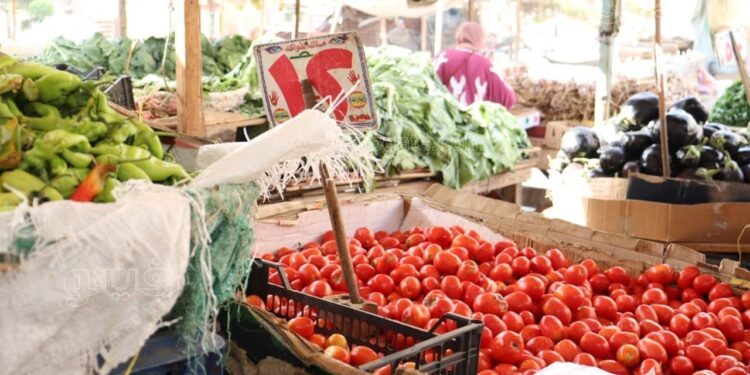 أسعار الطماطم والبطاطس والفواكه اليوم الجمعة 27 يونيو 2025 في الأسواق المحلية