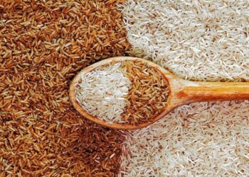 سعر طن الشعير المستخدم لزراعة الأرز في الأسواق بتاريخ 16 يونيو 2025 (الإثنين)