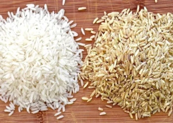 سعر طن الأرز الشعير اليوم 21 يونيو 2025 تعرف على أسعار الرفيع والعريض
