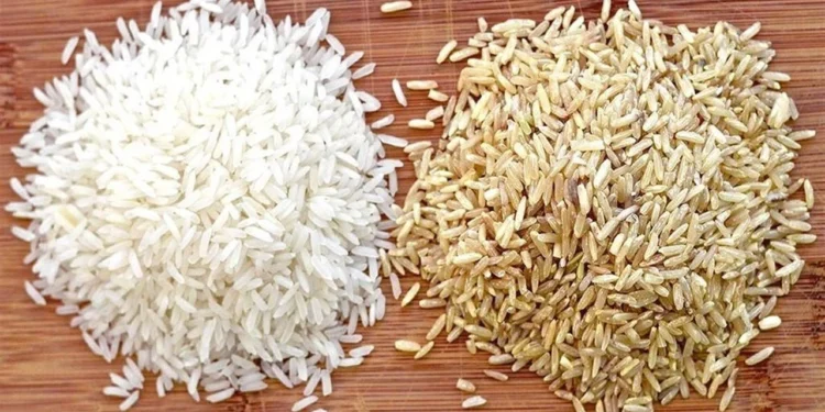 سعر طن الأرز الشعير اليوم 21 يونيو 2025 تعرف على أسعار الرفيع والعريض 1 سعر طن الأرز الشعير اليوم 21 يونيو 2025 تعرف على أسعار الرفيع والعريض