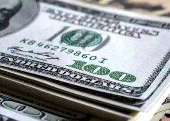 سعر الأخضر اليوم في مصر آخر مستجدات الثلاثاء 17 يونيو 2025