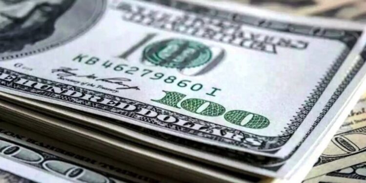 سعر الأخضر اليوم في مصر آخر مستجدات الثلاثاء 17 يونيو 2025 1 سعر الأخضر اليوم في مصر آخر مستجدات الثلاثاء 17 يونيو 2025