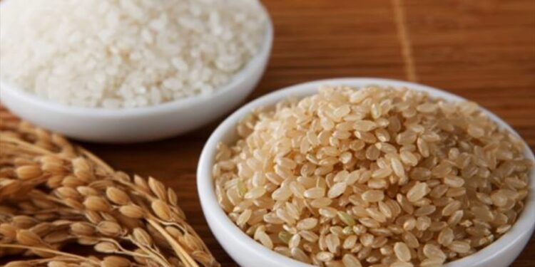 سعر الأرز الشعير في الأسواق المصرية اليوم 15-6-2025 1 سعر الأرز الشعير في الأسواق المصرية اليوم 15-6-2025