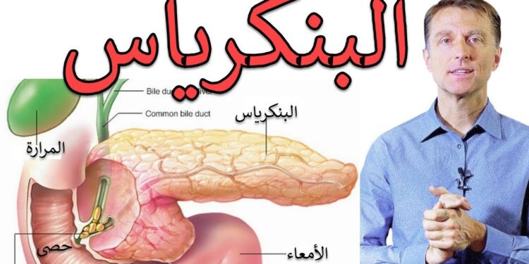 أعراض أمراض البنكرياس.. إشارات لا تتجاهلها 1 أعراض أمراض البنكرياس.. إشارات لا تتجاهلها