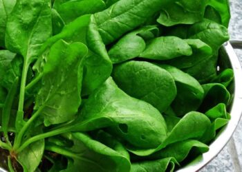 الخضروات الورقية غذاء القلب الأول لحياة أطول