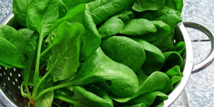 الخضروات الورقية غذاء القلب الأول لحياة أطول