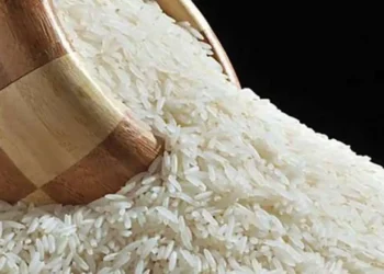أسعار الأرز الشعير اليوم 28 يونيو 2025 تعرف على سعر الطن للحبة العريضة والرفيعة