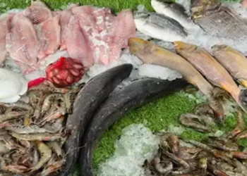 سعر كيلو السمك اليوم في الأسواق تحديث الثلاثاء 17 يونيو 2025