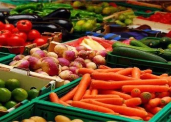 أسعار الخضروات والفاكهة اليوم في مصر.. والبصل يواصل الثبات عند 9 جنيهات