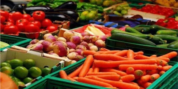 أسعار الخضروات والفاكهة اليوم في مصر.. والبصل يواصل الثبات عند 9 جنيهات