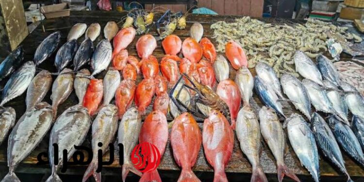 أسعار الأسماك والجمبري الجمعة 27 يونيو 2025.. البلطي والبوري والجمبري تحت المجهر 1 أسعار الأسماك والجمبري الجمعة 27 يونيو 2025.. البلطي والبوري والجمبري تحت المجهر