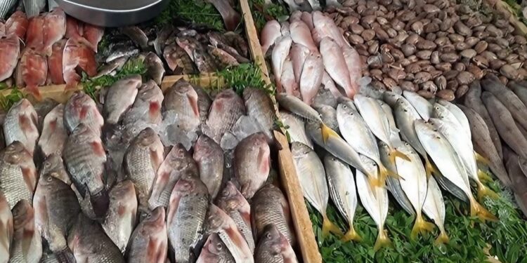 سعر البلطي يسجل زيادة جديدة قائمة أسعار الأسماك في الأسواق اليوم الإثنين 16 يونيو 2025 1 سعر البلطي يسجل زيادة جديدة قائمة أسعار الأسماك في الأسواق اليوم الإثنين 16 يونيو 2025