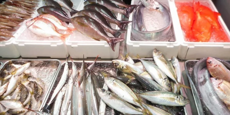 أسعار المأكولات البحرية اليوم السبت 14 يونيو 2025 في الأسواق 1 أسعار المأكولات البحرية اليوم السبت 14 يونيو 2025 في الأسواق