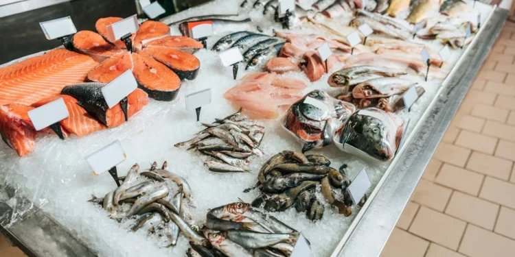 سعر السمك اليوم في سوق العبور الأحد 29 يونيو 2025.. الكيلو بكام؟