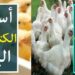 أسعار الفراخ والبيض اليوم الخميس 19 يونيو 2025 2 أسعار الفراخ والبيض اليوم الخميس 19 يونيو 2025