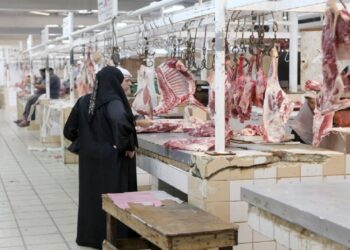 سوق اللحوم اليوم تعرف على الأسعار الثلاثاء 17 يونيو
