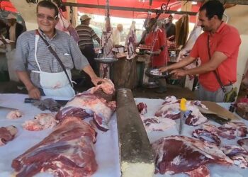 أسعار اللحوم الحمراء في الأسواق اليوم السبت 14 يونيو الكندوز عند 370 جنيهًا