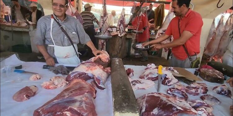 أسعار اللحوم الحمراء في الأسواق اليوم السبت 14 يونيو الكندوز عند 370 جنيهًا 1 أسعار اللحوم الحمراء في الأسواق اليوم السبت 14 يونيو الكندوز عند 370 جنيهًا