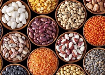 أسعار البقوليات اليوم الثلاثاء 17 يونيو 2025 الفول والعدس مستقران