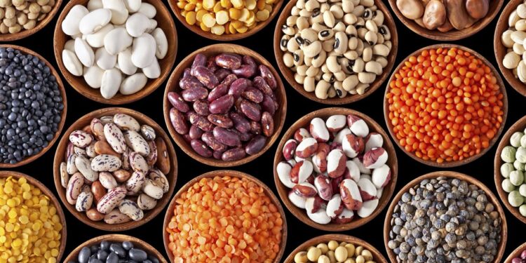 أسعار البقوليات اليوم الثلاثاء 17 يونيو 2025 الفول والعدس مستقران