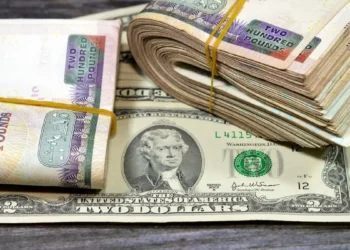 سعر الدولار السبت 21 يونيو 2025 المركزي يُسجل تغيرًا طفيفًا وسط استقرار البنوك