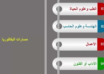 دليل الكليات المتاحة لمسار الطب وعلوم الحياة لطلاب البكالوريا المصرية 2025/2026