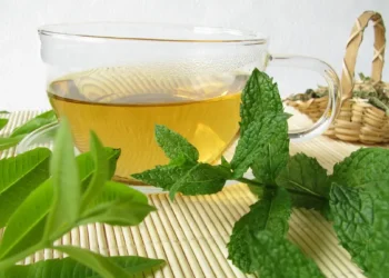 فوائد شاي النعناع الخفية لصحتك وجهازك الهضمي