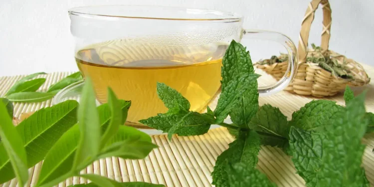 فوائد شاي النعناع الخفية لصحتك وجهازك الهضمي
