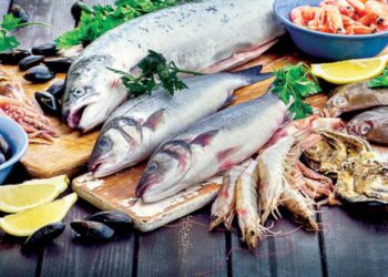 أسعار الأسماك والجمبري اليوم الثلاثاء 22 يوليو 2025