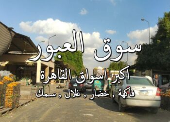 سوق العبور يسجل تغييرات محدودة في أسعار الخضروات والفاكهة اليوم 13 يوليو 2025