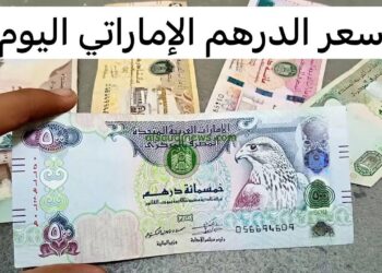 الدرهم الإماراتي اليوم.. أسعار البيع والشراء في البنك المركزي المصري
